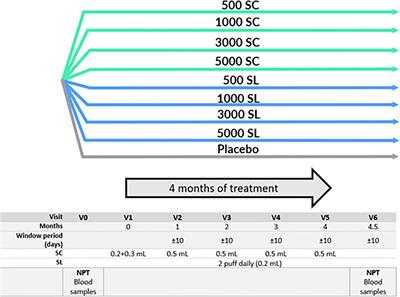 Grass pollen allergoids conjugated with mannan for subcutaneous and sublingual immunotherapy: a dose-finding study
